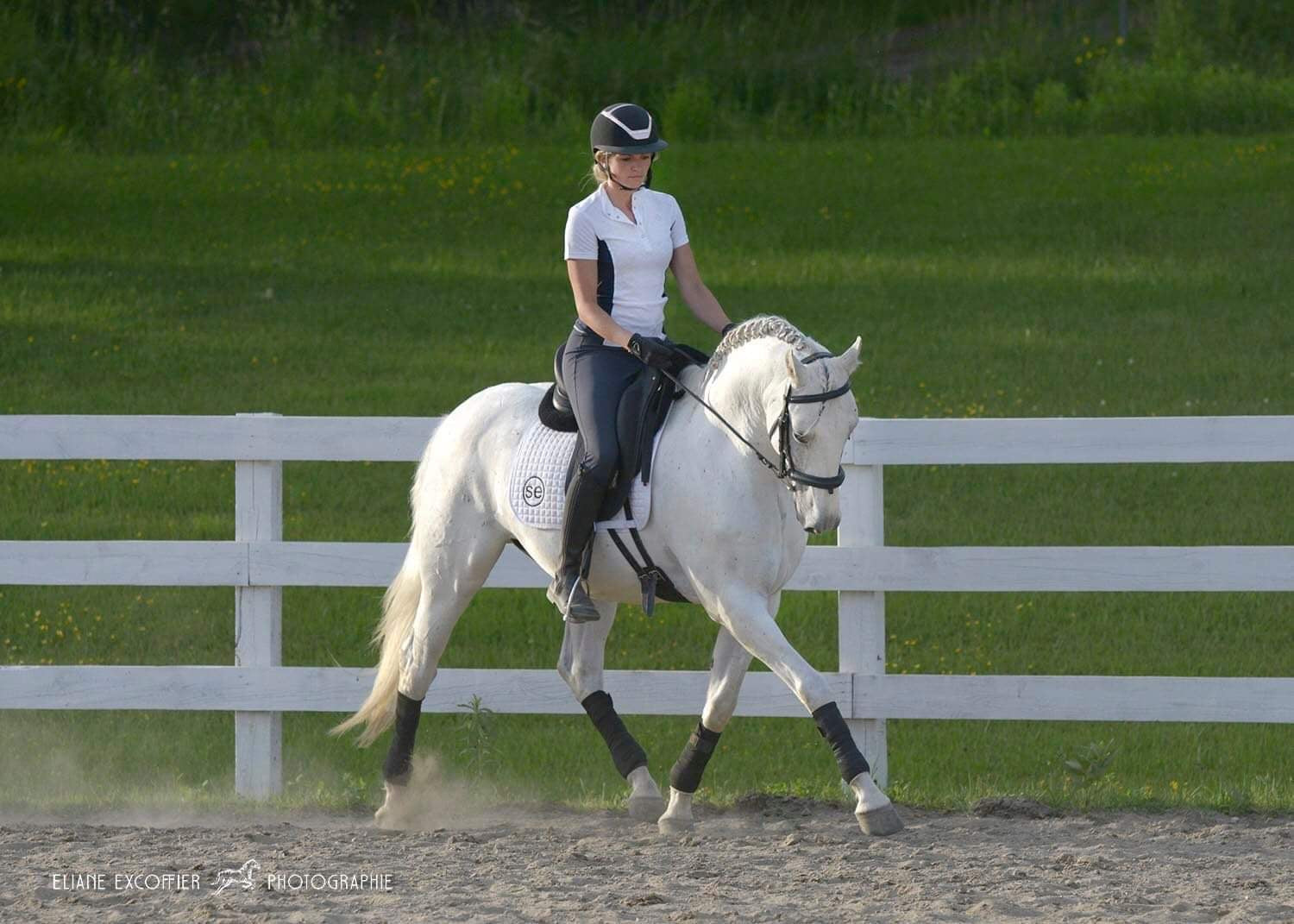 How to Care for Your Leather with The Riding Glow Image
